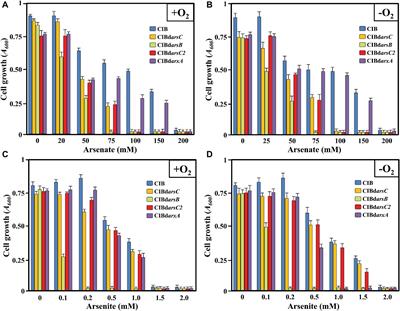 ArxA From Azoarcus sp. CIB, an Anaerobic Arsenite Oxidase From an Obligate Heterotrophic and Mesophilic Bacterium